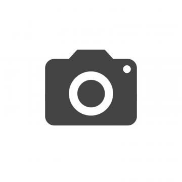 Mounting plate for data technology, type C