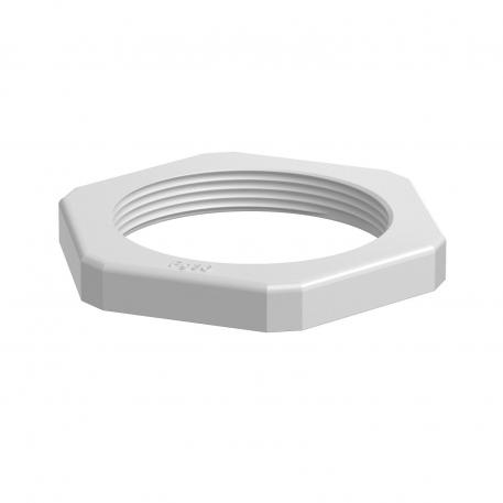 Locknut, PG thread, light grey Pg 36 | 60