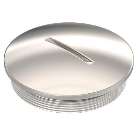 Tapón roscado, rosca métrica M50 x 1,5