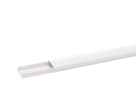 Cable routing trunking MKS 25, trunking width 38, with partition 2000 | 38 | 25 | Pure white; RAL 9010