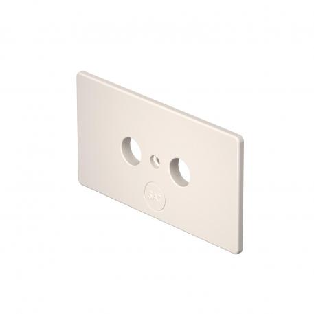 Antenna socket panel SL BL ANT Cream; RAL 9001