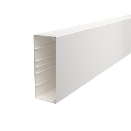 Trunking, type WDK 80210 2000 | 210 | 80 | Pure white; RAL 9010
