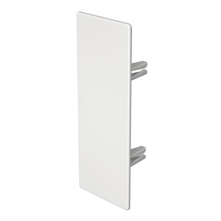 Pieza final, para canal tipo WDK 60170 170 | 60 | 170 | blanco tráfico; RAL 9016