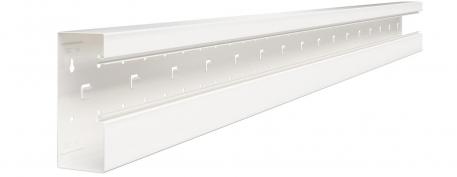 Device installation trunking Rapid 80, trunking width 170, trunking height 70, asymmetrical   2000