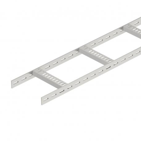 Cable ladder with trapezoidal rungs, standard A2 3000 | 100 | 5 | no