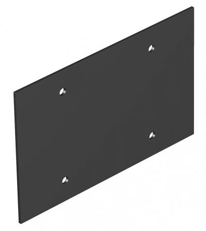 Cover plate, Telitank T12L, blank, for lengthwise side Graphite black; RAL 9011